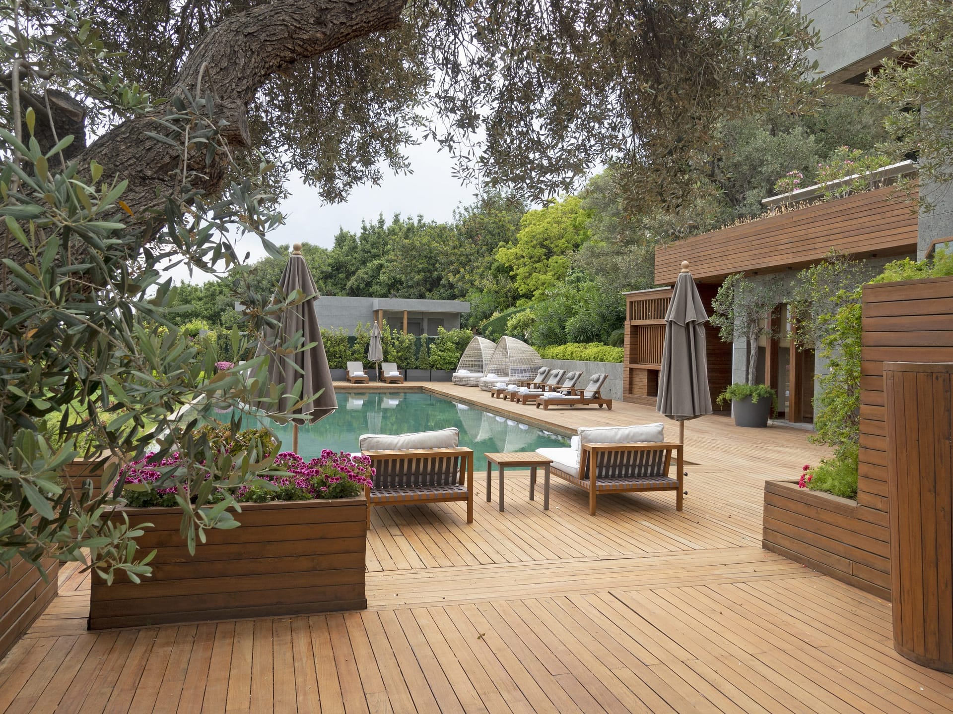 Modern garden with outdoor furnitures near the pool.