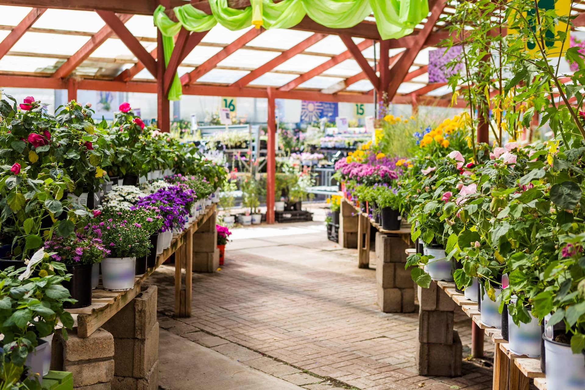 Nursery filled with various colorful flowers